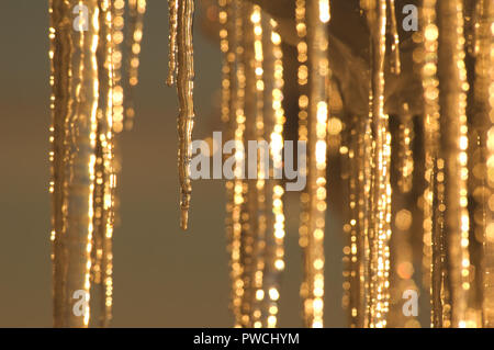 Eiszapfen von den arktischen Sonne beleuchtet Stockfoto