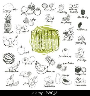 Früchte hand Skizzen auf weißem Hintergrund dargestellt. Bio-obst Elemente für menu Design. Rohe Früchte und Beeren sammeln. Stock Vektor