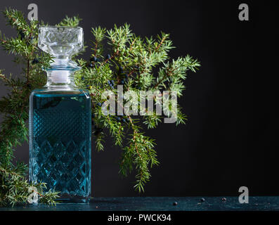 Blue Gin in Kristall Karaffe und Juniper Zweig mit Beeren auf einem schwarzen Hintergrund. Kopieren Sie Platz für Ihren Text. Stockfoto