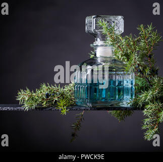 Blue Gin in Kristall Karaffe und Juniper Zweig mit Beeren auf einem schwarzen Hintergrund. Stockfoto