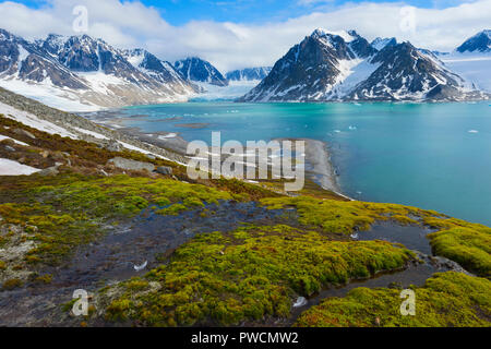 Magdalena Fjord, Spitsberg Insel, Svalbard, Norwegen Stockfoto