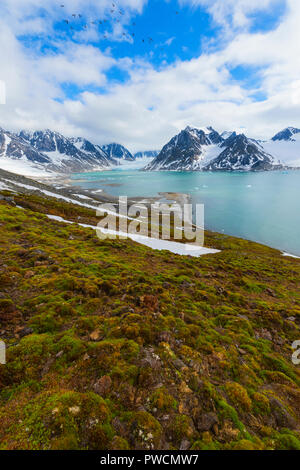 Magdalena Fjord, Spitsberg Insel, Svalbard, Norwegen Stockfoto