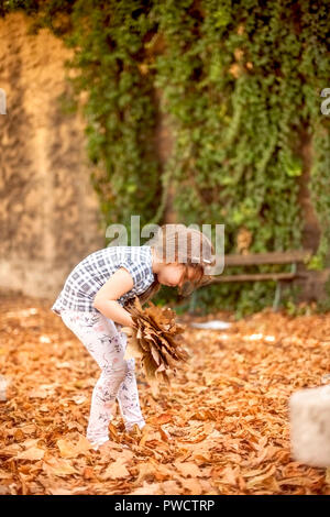 Kleine Mädchen sammelt die Blätter im Herbst im Park. Herbst Blumenstrauß in den Händen eines Kindes. Glückliche Kindheit. Freier Platz für Text. Platz kopieren Stockfoto