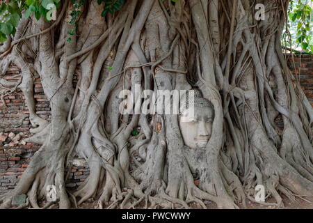 Ayutthaya ist die heilige Stadt von Thailand gegründet von König-thong in 1351. Stockfoto