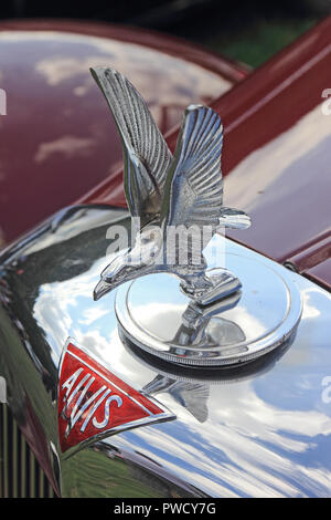 Klassische Alvis car Kühlerfigur Stockfoto