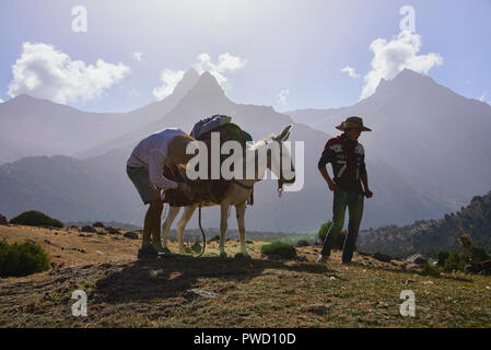 Esel Trekking in der schönen Fann Mountains, Tadschikistan Stockfoto
