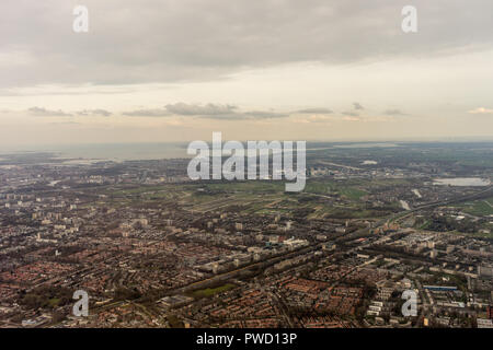 Niederlande, Den Haag, Schiphol, Europa, eine Herde von Schaf Stehend auf einem Hügel Stockfoto