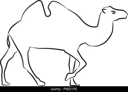 Kamel Skizze Stil Silhouette. Bleistift Hand gezeichneten Stil Vector Illustration. Stock Vektor