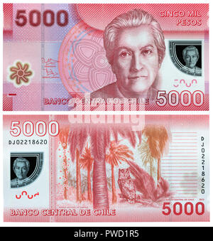 5000 Pesos Banknote, Gabriela Mistral, La Campana Nationalpark, Chile, 2013 Stockfoto