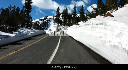 Schmelze Straße zwischen hohen Snowbanks auf Frühling. Lage: Sonora Pass (Highway 108), Sierra Nevada, Kalifornien, USA Stockfoto