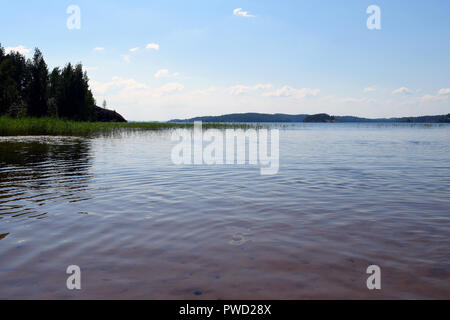 Seeblick in Finnland im Sommer. Lage: Strand, Pistohiekka Puumala, Finnland Stockfoto