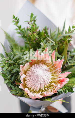 Üppigen Blumenstrauß des Königs Protea, Eukalyptus und andere Grüns. Junge Mädchen, dass eine Blumen Arrangements mit verschiedenen Farben. weiße Wand. Stockfoto