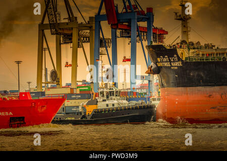 Deutschland, Hamburg, Övelgönne, Elbe, Hafen, Containerterminal, HHLA Burchardkai, Containerschiff Stockfoto