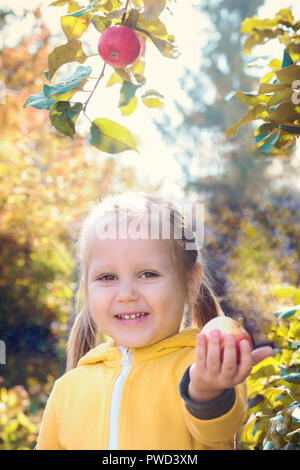 Kleines Mädchen baby im gelben Overall Anzug mit blonden Haaren sammelt und beißt sich frisst saisonal Äpfel ernten im Herbst Garten Stockfoto