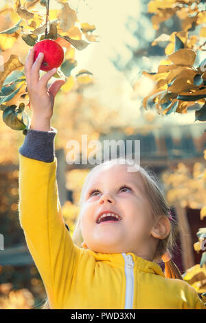 Kleines Mädchen baby im gelben Overall Anzug mit blonden Haaren sammelt und beißt sich frisst saisonal Äpfel ernten im Herbst Garten Stockfoto