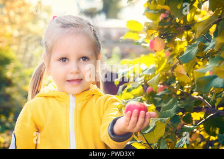 Kleines Mädchen baby im gelben Overall Anzug mit blonden Haaren sammelt und beißt sich frisst saisonal Äpfel ernten im Herbst Garten Stockfoto