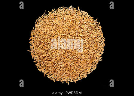 Stapel von Hafer auf schwarzem Hintergrund, Ansicht von oben Stockfoto