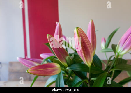 Eine Vase mit Blumen sitzen auf einem Tisch mit einem roten Herzen und Lily Stockfoto