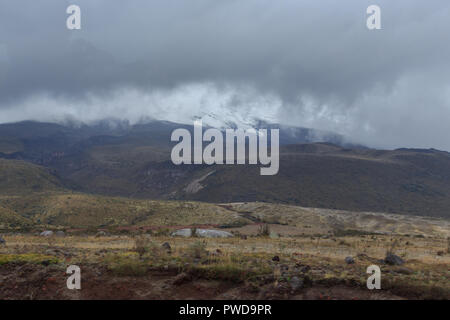 Blick auf die Strato Vulkan Cotopaxi, Ecuador Stockfoto