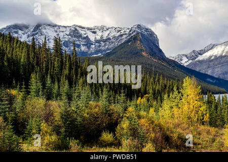 Landschaft auf dem Kananaskis Lake Trail Stockfoto