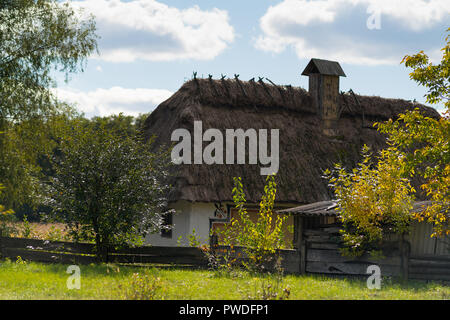 Landhaus mit Reetdach und Obstgarten unter einem sonnigen blauen bewölkten Himmel Stockfoto