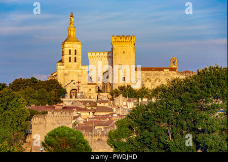 Frankreich. Vaucluse (84). Avignon. Der Palast der Päpste, ein UNESCO-Weltkulturerbe, und Notre-Dame-des-Doms Stockfoto