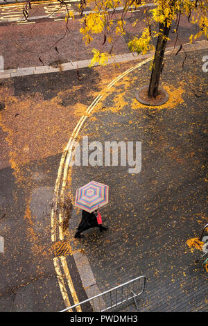 England, London, Belvedere Road - Oktober Farben, Laub bedecken die nasser Fahrbahn an einem regnerischen Tag Stockfoto