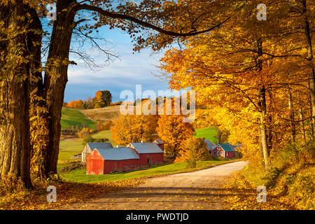 Herbstlichen Morgendämmerung am Jenne-Farm in der Nähe von South Woodstock, Vermont, USA Stockfoto