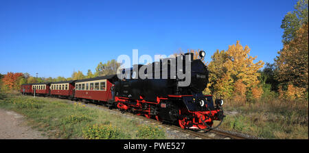 11 Oktober 2018, Sachsen-Anhalt, Gernrode: ein Zug der Harzer Schmalspurbahn (HSB, "Harzer Schmalspurbahn"), die durch die herbstlichen Selketal in der Nähe von gernrode im Harz. Seit ein paar Tagen die Lokomotive mit der Nummer 99 6001 hier wieder ausgeführt worden ist. Die dampflokomotive von der Firma Krupp am 01. Juli 1939 geliefert wird per Bahn Fans eines der Juwelen der Bahn und zu dieser Zeit sein, eine maximale Geschwindigkeit von 50 Kilometer pro Stunde erreicht. Die Gernrode-Harzgeroder Eisenbahn-Gesellschaft (GHE) eröffnete den ersten Meter lane Eisenbahn im Harz 1887. Stockfoto