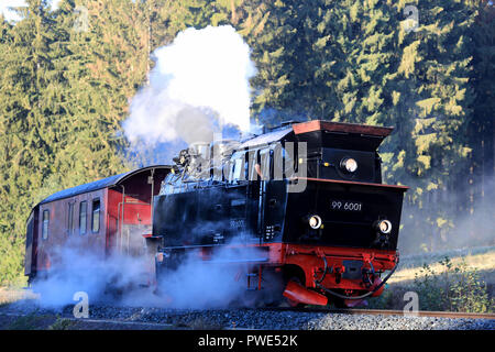 11 Oktober 2018, Sachsen-Anhalt, Gernrode: ein Zug der Harzer Schmalspurbahn (HSB, "Harzer Schmalspurbahn"), die durch die herbstlichen Selketal in der Nähe von gernrode im Harz. Seit ein paar Tagen die Lokomotive mit der Nummer 99 6001 hier wieder ausgeführt worden ist. Die dampflokomotive von der Firma Krupp am 01. Juli 1939 geliefert wird per Bahn Fans eines der Juwelen der Bahn und zu dieser Zeit sein, eine maximale Geschwindigkeit von 50 Kilometer pro Stunde erreicht. Die Gernrode-Harzgeroder Eisenbahn-Gesellschaft (GHE) eröffnete den ersten Meter lane Eisenbahn im Harz 1887. Stockfoto