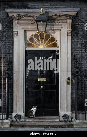 London, Großbritannien. 16. Oktober, 2018. Larry der Downing Street 10 Katze und Chief Mouser des Cabinet Office wartet darauf, eingelassen zu werden. Credit: Guy Corbishley/Alamy leben Nachrichten Stockfoto