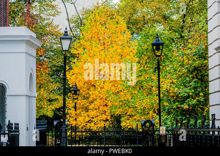 St. James Park, London. 16. Okt 2018. UK Wetter; ein Baum dreht sich golden hinter dem Departmnent der Gerechtigkeit. Credit: Guy Bell/Alamy leben Nachrichten Stockfoto