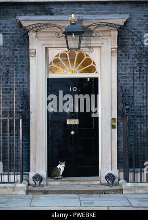 London, Großbritannien. 16. Okt 2018. Larry die Zahl 10 Cat, sitzt in der Nähe der Nummer 10 während der kabinettssitzung Credit: Tommy London/Alamy leben Nachrichten Stockfoto