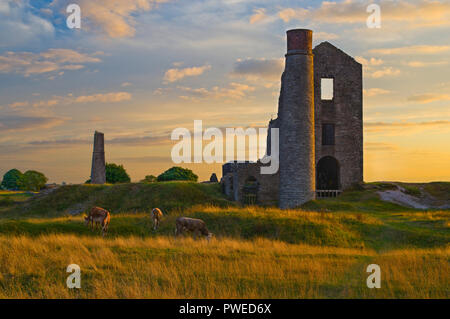 Die Elster Mine (bei Sonnenuntergang) Sheldon, der Peak District National Park, England (16) Stockfoto