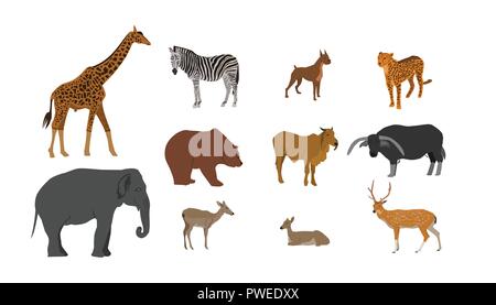 Tier Sammlung, Giraffe, Elefant, Zebra, Tiger, Hund, Braunbär, Kuh, Büffel, Antilopen, Rotwild auf weißem Hintergrund Stock Vektor