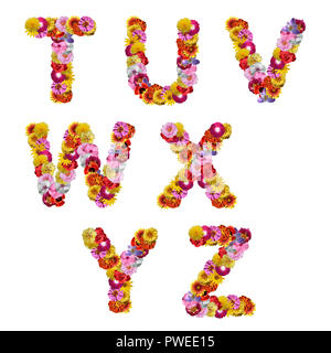 Alphabet der Blumen auf weißem Hintergrund Stockfoto