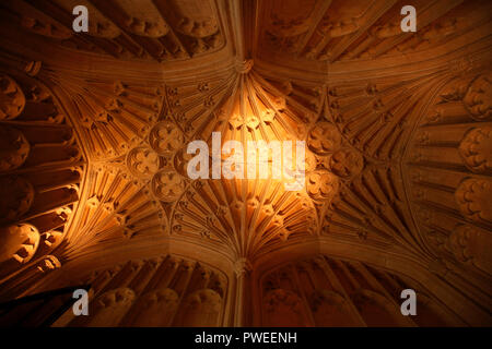 Gewölbte Decke in der Vorhalle der Hl. Johannes der Täufer Kirche, Witney, Oxfordshire, Großbritannien Stockfoto