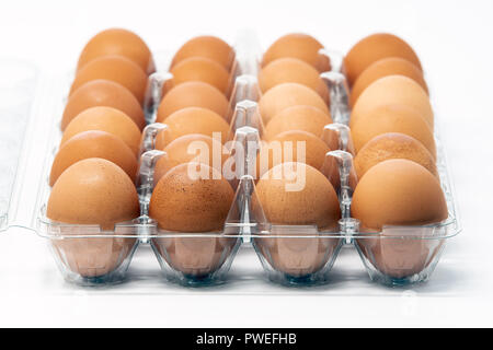 Zwei Dutzend Brown Organic Cage - freie Eier in einem Kunststoffbehälter, auf weißem Hintergrund. Stockfoto