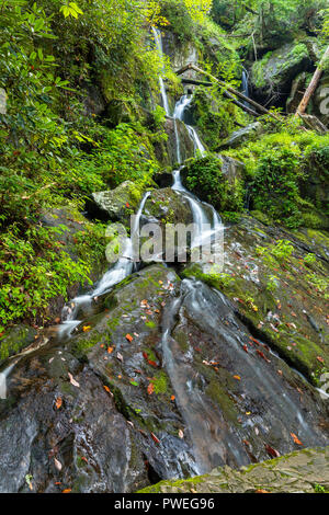 Wasserfall in den Smokey Mountains Stockfoto