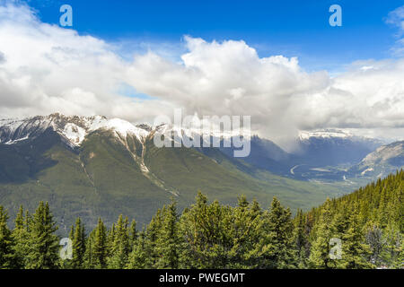 Landschaft Blick auf Bäume auf die schneebedeckten Berge in Banff Stockfoto