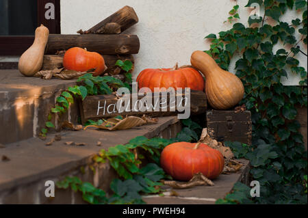 Kürbisse in die vordere Klappe, um zu feiern. Halloween. Selektive konzentrieren. Stockfoto