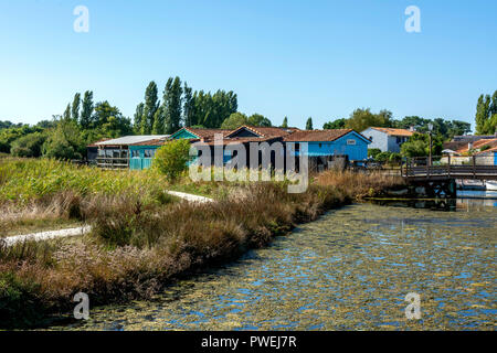 Port des Salines, Insel Oleron, Charente Maritime, Nouvelle-Aquitaine, Frankreich Stockfoto