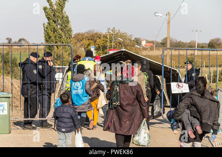 BERKASOVO, Serbien - 31. OKTOBER 2015: Flüchtlinge auf dem Weg zur kroatischen Grenzübergang Kroatien Serbien Grenze, zwischen den Städten Bapsk Stockfoto