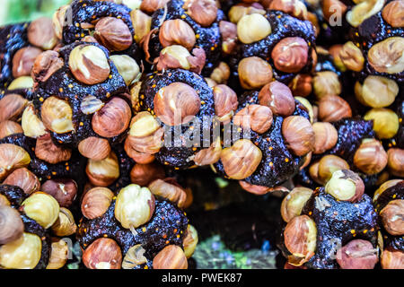 Scheiben von Marmelade mit Haselnüssen. Haselnuss mit Süßigkeiten Stockfoto