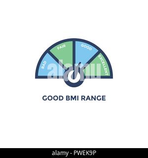 BMI - Body Mass Index Symbol - mit BMI range Chart - Grün und Blau Stock Vektor