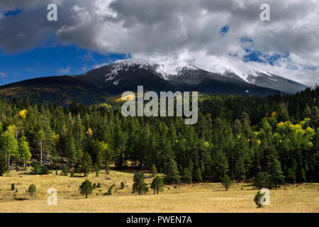 Die San Francisco Peaks in der Nähe von Flagstaff, Arizona von der Forest Road 151 aus gesehen Stockfoto