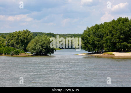 Flusslandschaft auf der Donau in der Nähe von Calarasi, Rumänien, größere Walachei, Donau Landschaft, Estuary, verlassenen Meander, Aue, angeschwemmtes Land, bewölkter Himmel Stockfoto