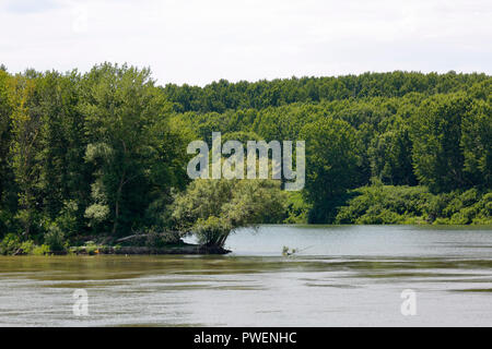 Donau Landschaft zwischen Izvoarele und Oltina, Rumänien, Constanta, Dobruja, Flusslandschaft, Donau Landschaft, Bottomland, verlassenen Mäander Stockfoto