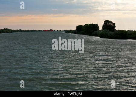 Rumänien, Tulcea County, Dobrudscha, Dobruja, Donaudelta, Biosphärenreservat Donaudelta, River Delta, Estuary, Donau Mund bis zum Schwarzen Meer, Arm Sulina, Flusslandschaft, Donau Landschaft, Abendstimmung, Weltkulturerbe der UNESCO, natürliche Sehenswürdigkeit Stockfoto