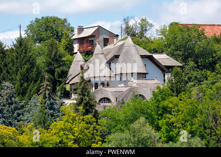 Ungarn, Mohacs auf der Donau, Transdanubien, Südtransdanubien, Komitat Baranya, Wohnhaus am Ufer der Donau, Ferienhaus mit Reetdach, Stockfoto